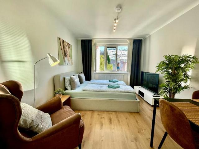Wohnung 4 Schlafzimmer Zu Vermieten Vienna Vienna 3600 ELS105226996