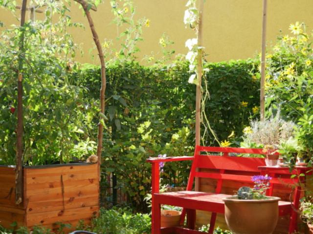 Wohnung 4 Schlafzimmer Zu Vermieten Wien AUT 780 ES105006383