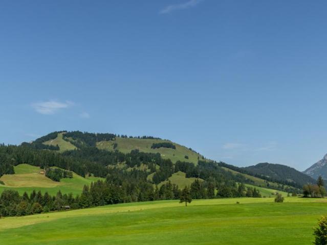 Wohnung 4 Schlafzimmer Zu Verkaufen Hochfilzen Hochfilzen 1110000 ES105083352