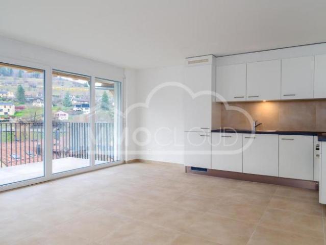 Großes Wohn /Esszimmer mit Küche und Balkon!
