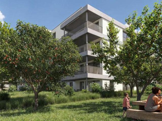 Wohnung 5.5 Zimmer