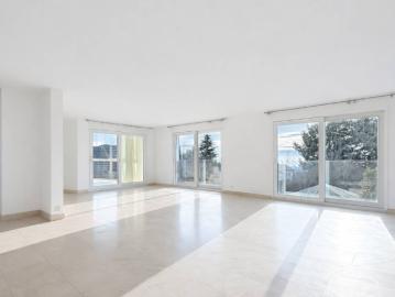 Wohnung 5.5 Zimmer