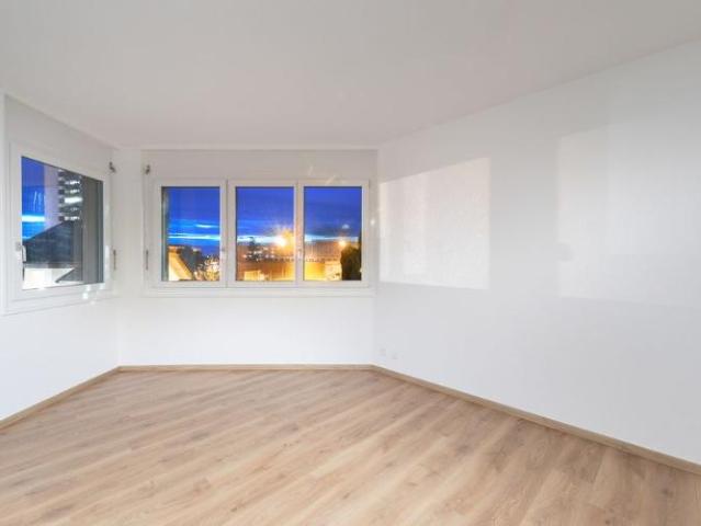 Renovierte 5,5 Zimmer Wohnung + separates Studio