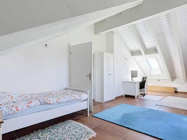 Wohnung 6.5 Zimmer