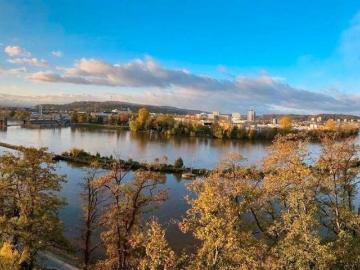 Wohnung 70 qm mit Logenplatz an der Mosel