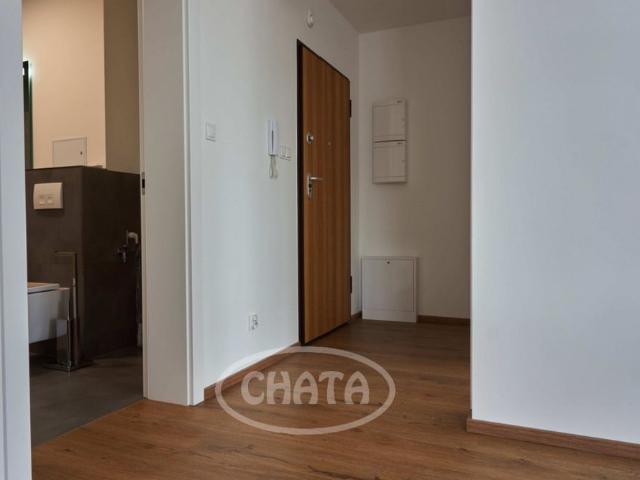 wolne od 1 czerwca