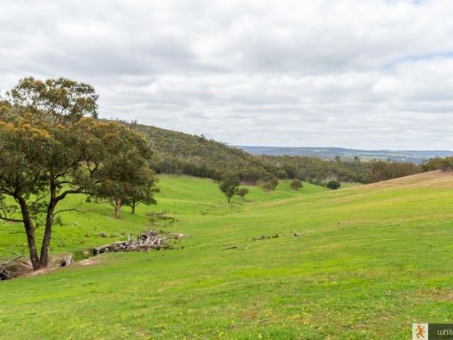 WOW ! 112.7 ha 280 acres approx. with Planning Permit