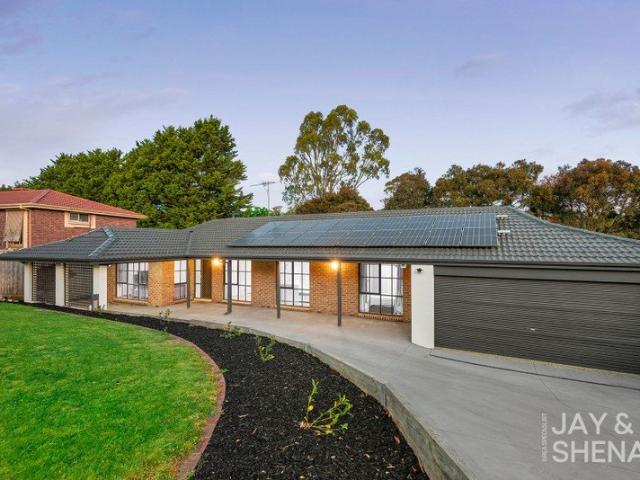 Wow in William Hovell