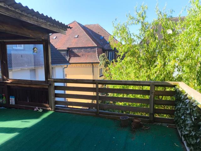 Wow ! Stadtwohnung mit Dachterrasse