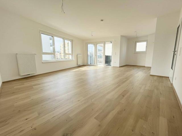 Wr. Neustadt ein viertel grün Neubau Erstbezug herrliche 3 Zimmer Wohnung