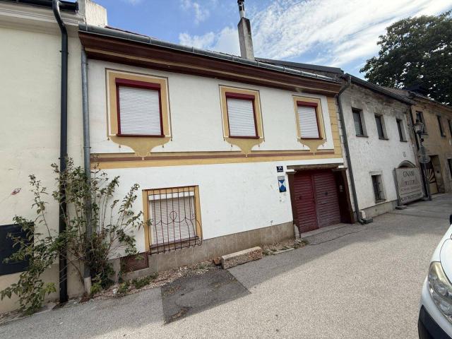 Wr. Neustadt stilvolles Jahrhundertwende Stadthaus mit Ateliercharakter, Dachterrasse und grünem Innenhof