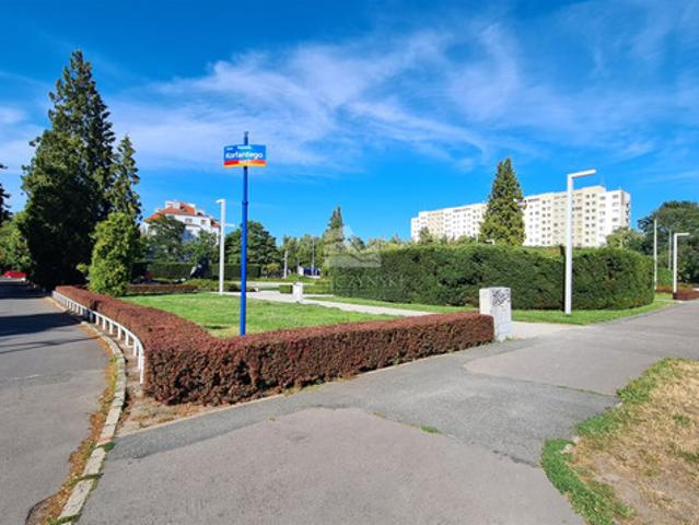 Wrocław M. Wrocław, Krzyki, Borek, Sępia
