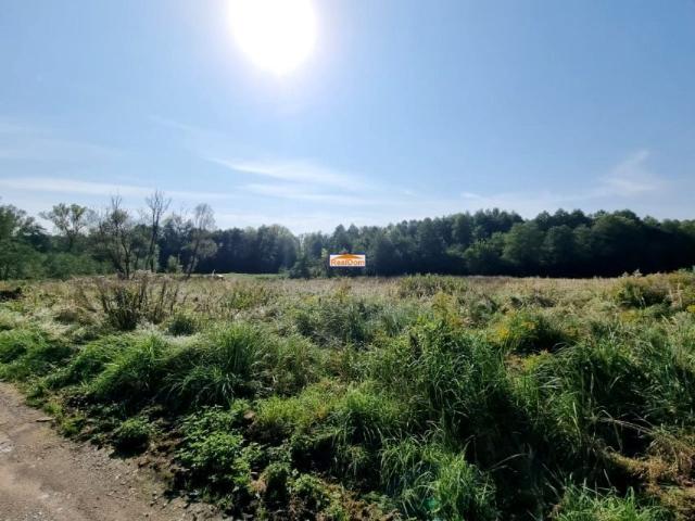 Wrzosy 170 m², Modlniczka