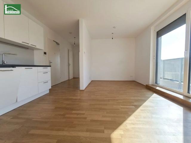 Wundervolle 2 Zimmer Wohnung mit großer privater Außenfläche nahe Rathausplatz