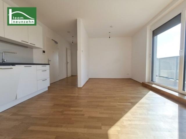 Wundervolle 2 Zimmer Wohnung mit großer, privater Dachterrasse nahe Rathausplatz