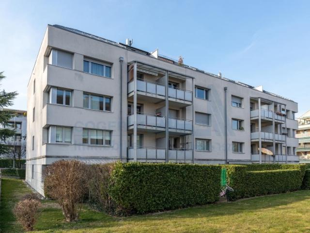 Wunderschöne 3 Zimmer Wohnung im Erdgeschoss in Vernier