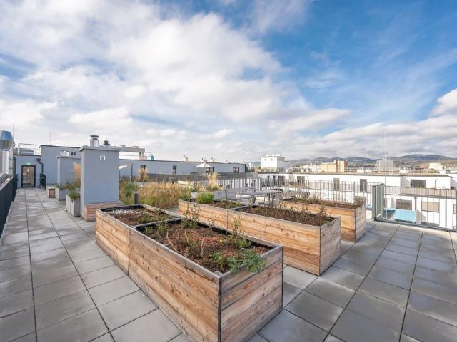 Wunderschöne 3 Zimmer Wohnung mit Balkon