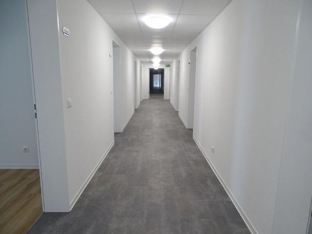 Wunderschöne 1 Zimmer Apartments in Dortmund Barop + Küche!