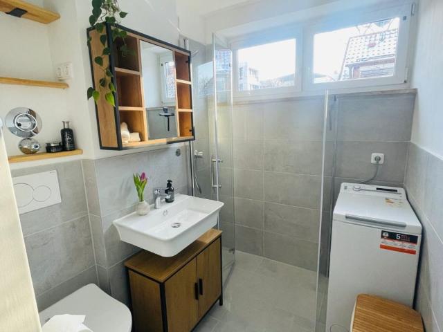 Wunderschöne 1 Zimmer Wohnung in Neupasing