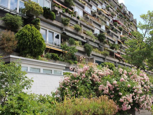 Wunderschöne 4 Zimmer Wohnung über 3 Ebenen im Terrassenhaus Hannover