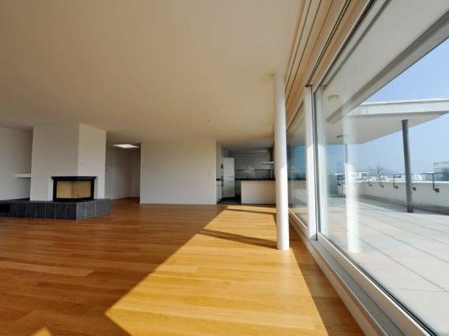 Wunderschöne 5 1/2 Zimmer Attika Wohnung mit Cheminée sucht SIE!