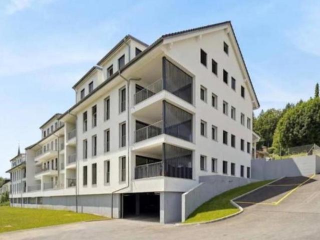 Wunderschöne Attikawohnung mit herrlicher Aussicht, grosser Galerie und Verkehrsmitteln in unmittelbarer Nähe
