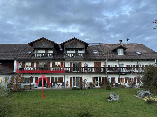 Wunderschöne, große 2 Zimmer Wohnung