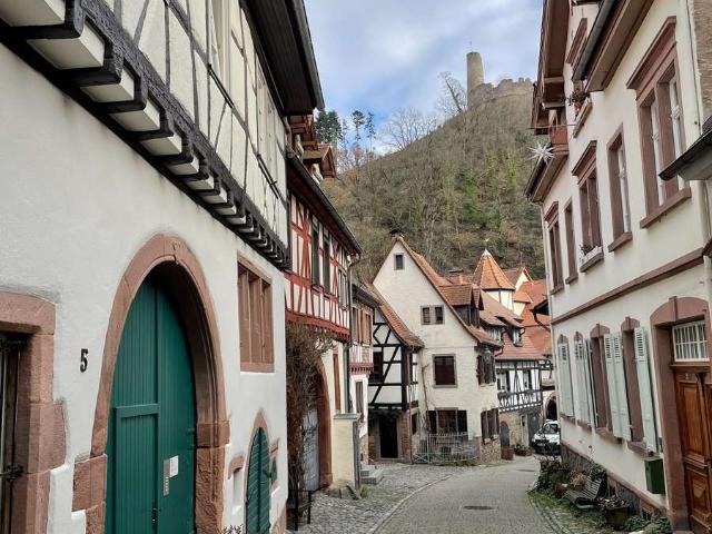 Wunderschöne kleine 3 Zimmer Wohnung in der Altstadt