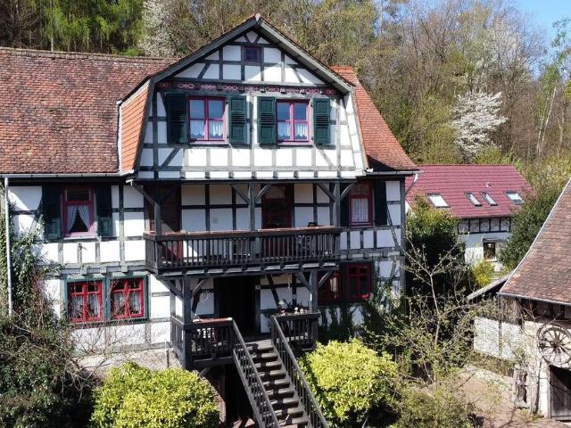 Wunderschöne Hofreite Fachwerkhaus: 3 Wohnungen & viel Natur