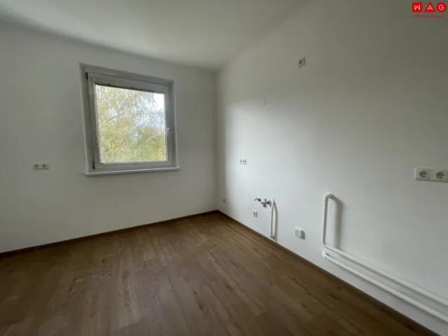 Wunderschöne, neu renovierte 3 Zimmer Wohnung