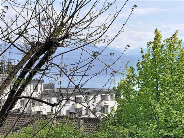 Wunderschöne Wohnung in einem ruhigen Viertel von Lausanne