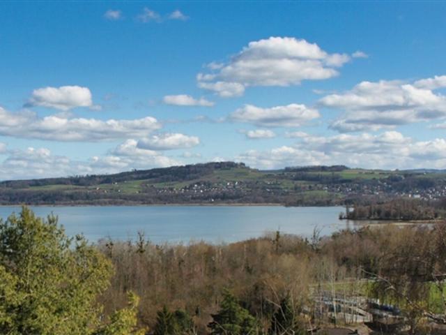 Wunderschöne Wohnung mit herrlichem Seeblick