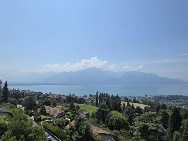 Wunderschöne Wohnung mit Terrasse und Seeblick