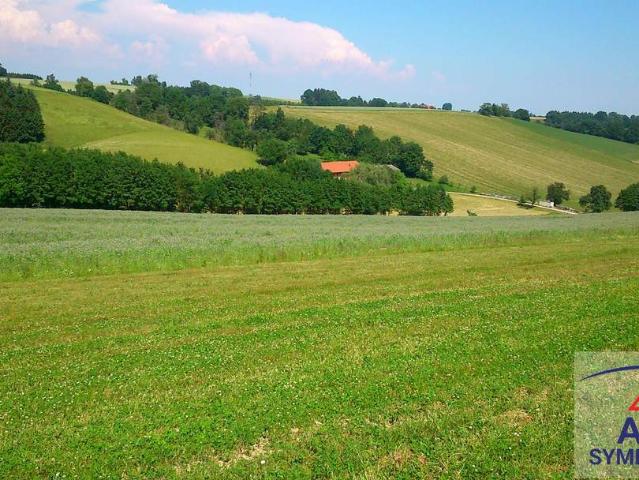 Wunderschöner Bungalow mit großem Garten in ruhiger Aussichtslage!