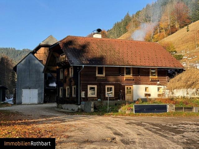 Wunderschöner Bauernhof mit Wald und Wiese!