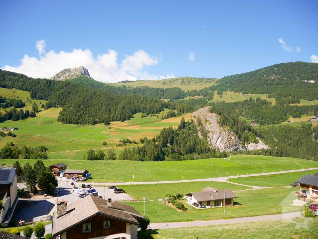 Wunderschönes neues Chalet in Liddes! Top Sonneneinstrahlung und schön