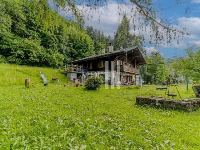Prächtige, abgelegene Hütte mit großzügigen Anlagen in Les Giettes