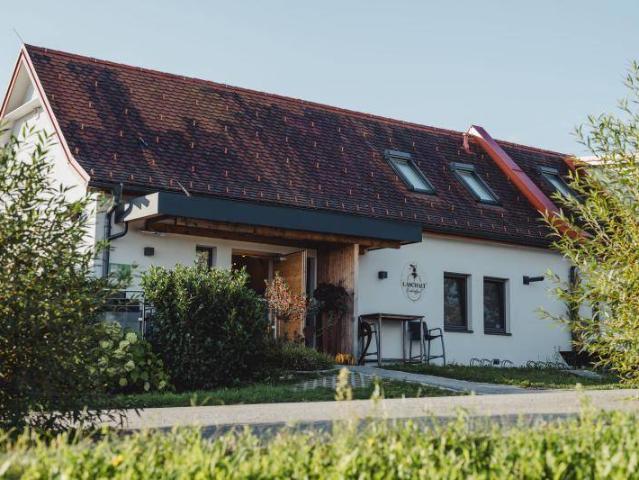 Wunderschönes Appartement 80m² mit Terrasse im Biohofgut in ruhiger Lage im Südburgenland!