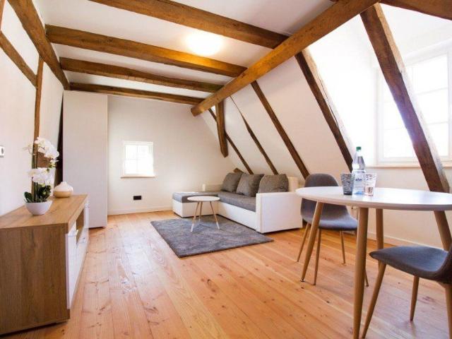 Wunderschönes Business Apartement Cesa in KA Bulach