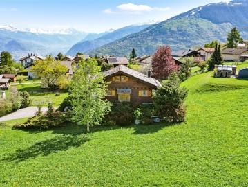 Haute Nendaz, Nendaz, Gundis, Wallis - Garten