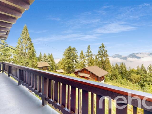 Wunderschönes Chalet und privates Studio Les Giettes