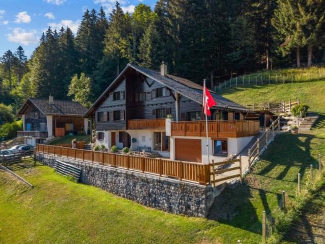 Wunderschönes Chalet mit 8.5 Zimmern in Paccots