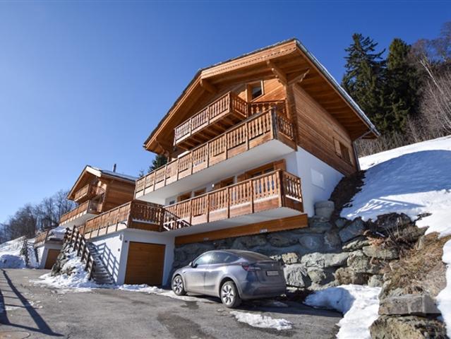 Wunderschönes Chalet mit hohem Standard