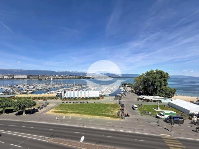 Wunderschönes, geräumiges Apartment mit Seeblick und Blick auf den Jet d’Eau!
