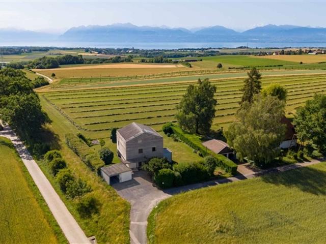 Wunderschönes Haus mit See und Blick auf den Mont Blanc, 4 Schlafzimmer – Großer Garten