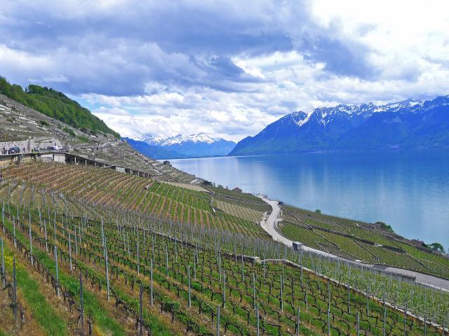 Wunderschönes, komplett renoviertes Winzerhaus mit herrlicher Aussicht
