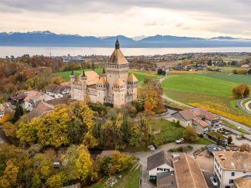Wunderschönes, renoviertes Vaudoise Anwesen mit Aussicht