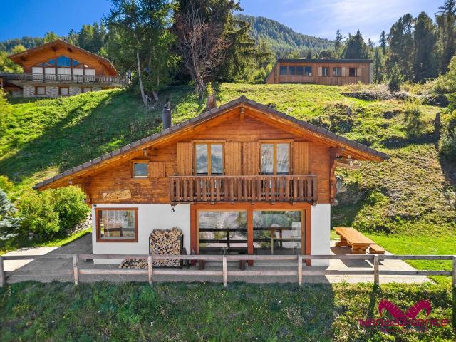 Wunderschönes 4,5 Zimmer Chalet mit Aussicht – Verkauf an Ausländer