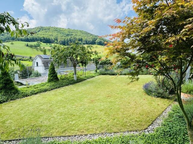 Wunderschönes 5.5 Zimmer Doppelhaus mit Garten, Sitzplatz, Balkon und 2 Parkplätzen