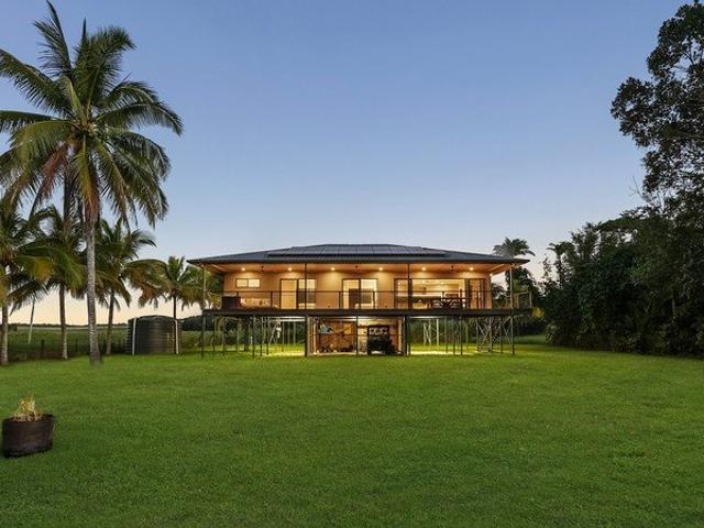 WUNDU | Daintree